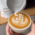 EVO 2.0 Latte Art Pitcher (480ml)